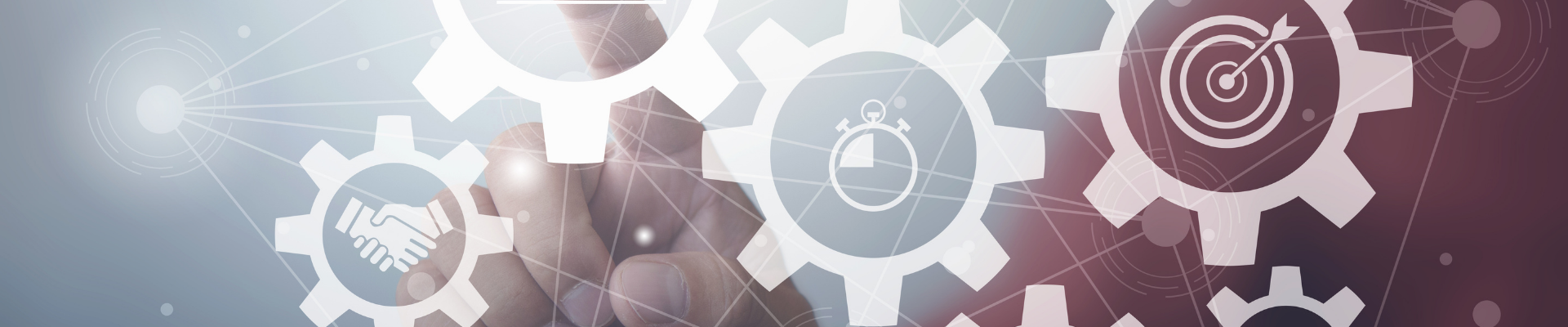 Website Management