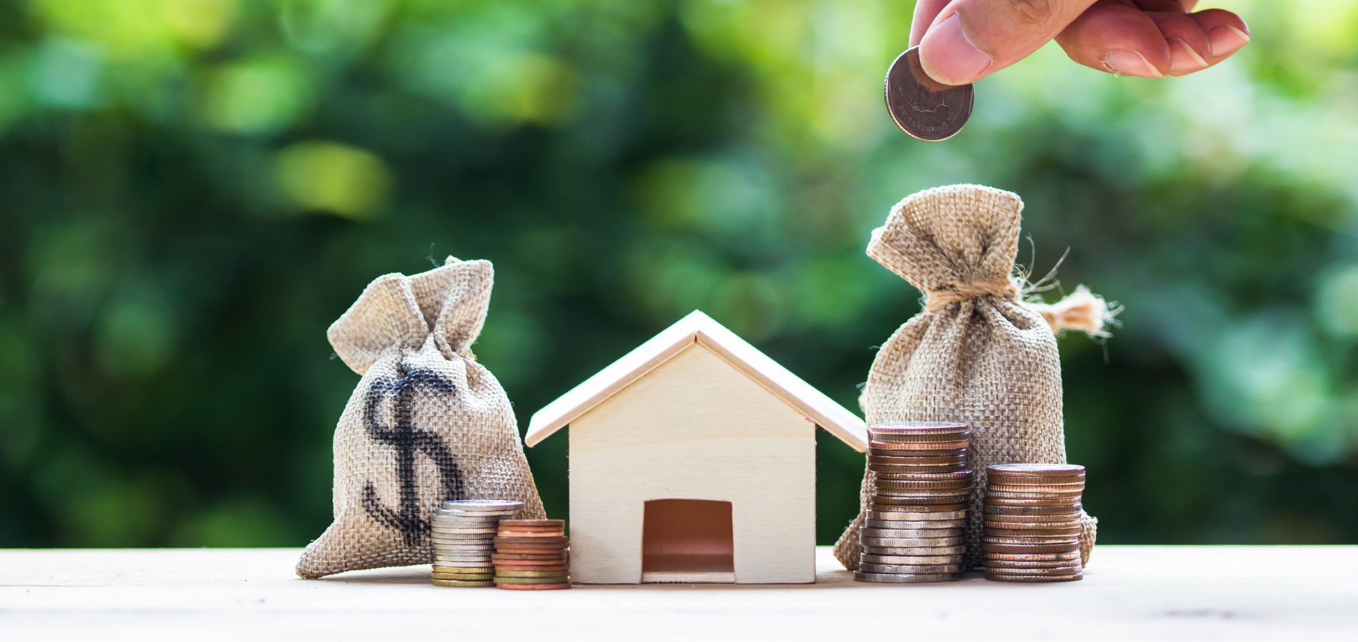 Real Estate Investment